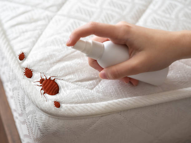 Best Affordable Pest Control Services  in Rose Valley, PA